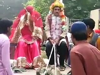 hahaha very funny Wedding