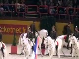 Dressage horse - Classical Riding - Spanish riding school