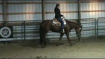 Good Luck Invitation - 09' AQHA Western Pleasure Mare By Jacks Are Lucky Too
