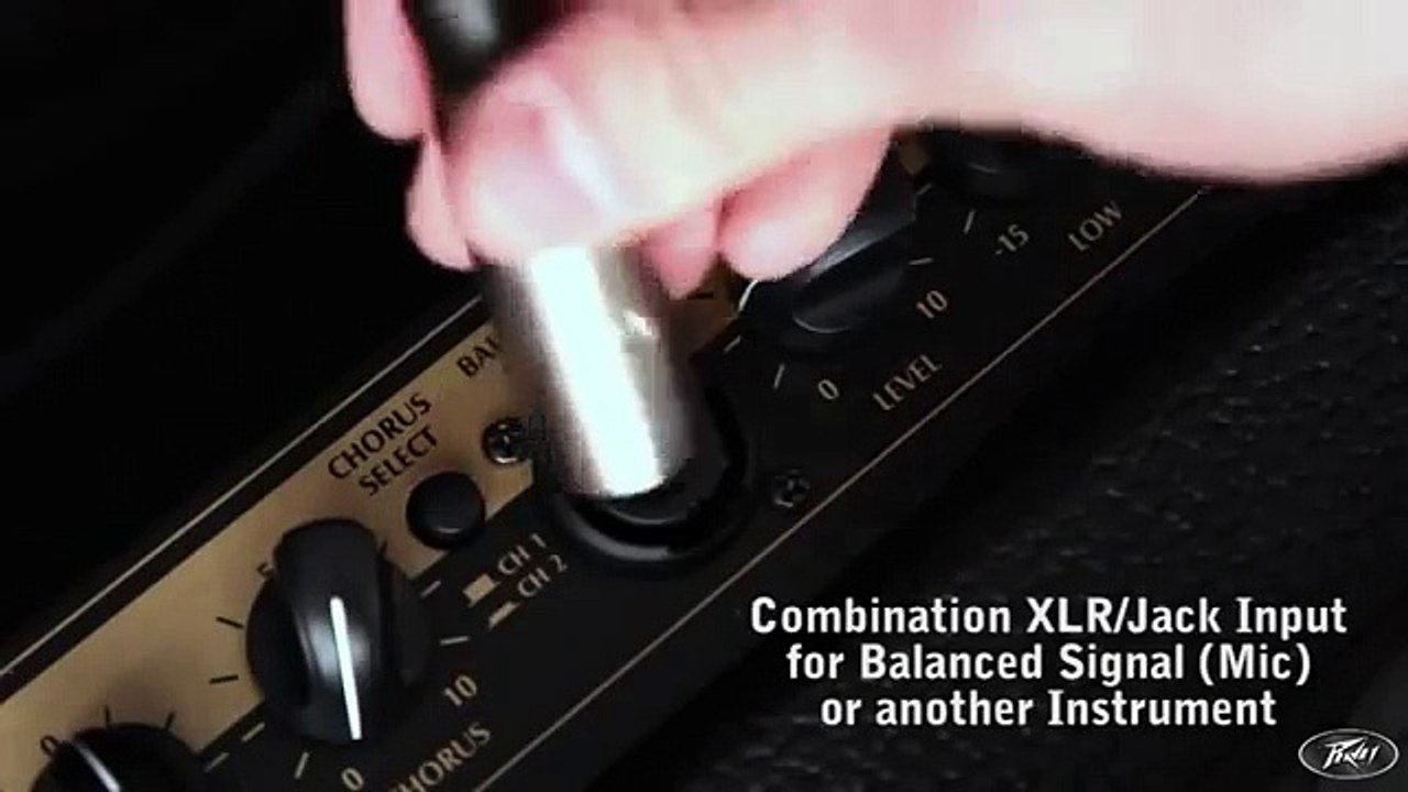 Peavey E208 Ecoustic 20-Watt Acoustic Guitar Combo Amp at Soundsliveshop.com