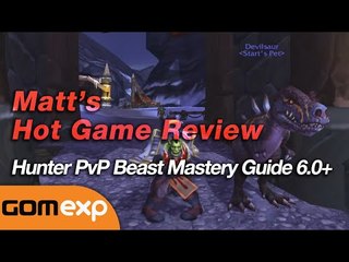 How to play a PvP BM hunter in WoW Arenas