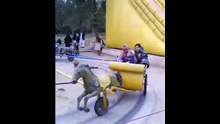 HORSE RIDE FUN
