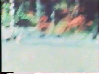 Bigfoot-Patterson Film