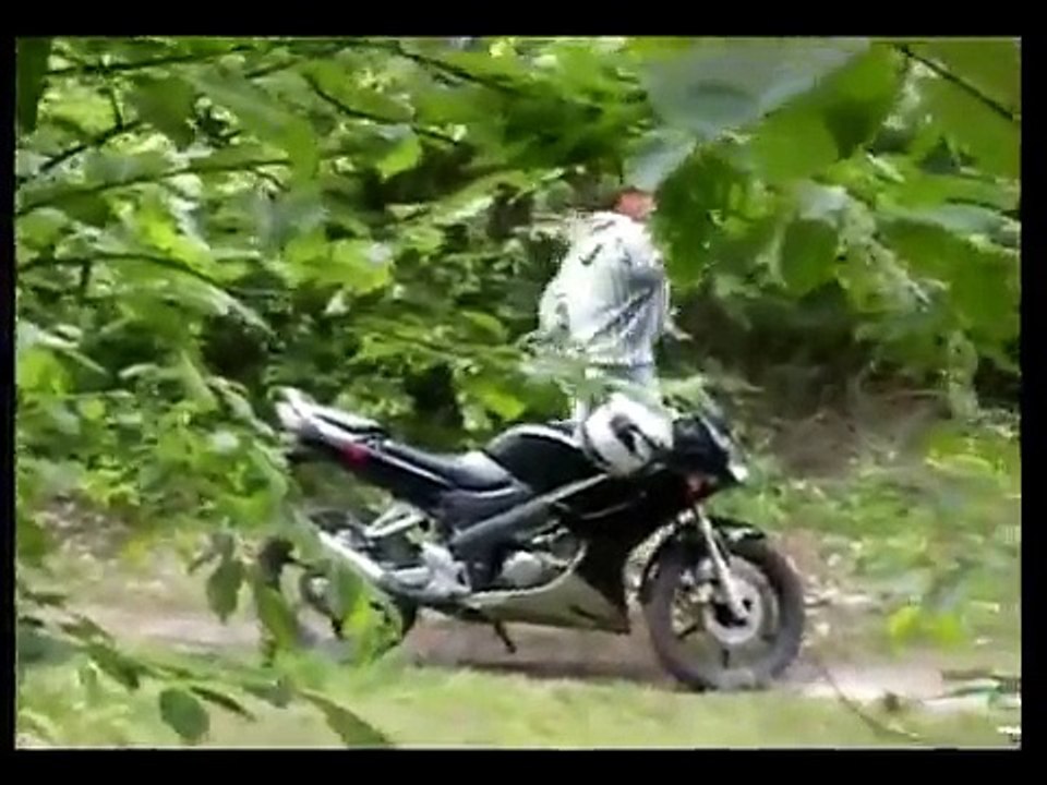 Wrong turn 3