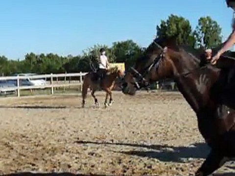 Maud au spectacle des Fédies (cheval blanc)