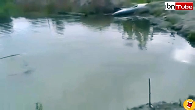 Un brave chien plonge pour sauver son maitre - iBNTube