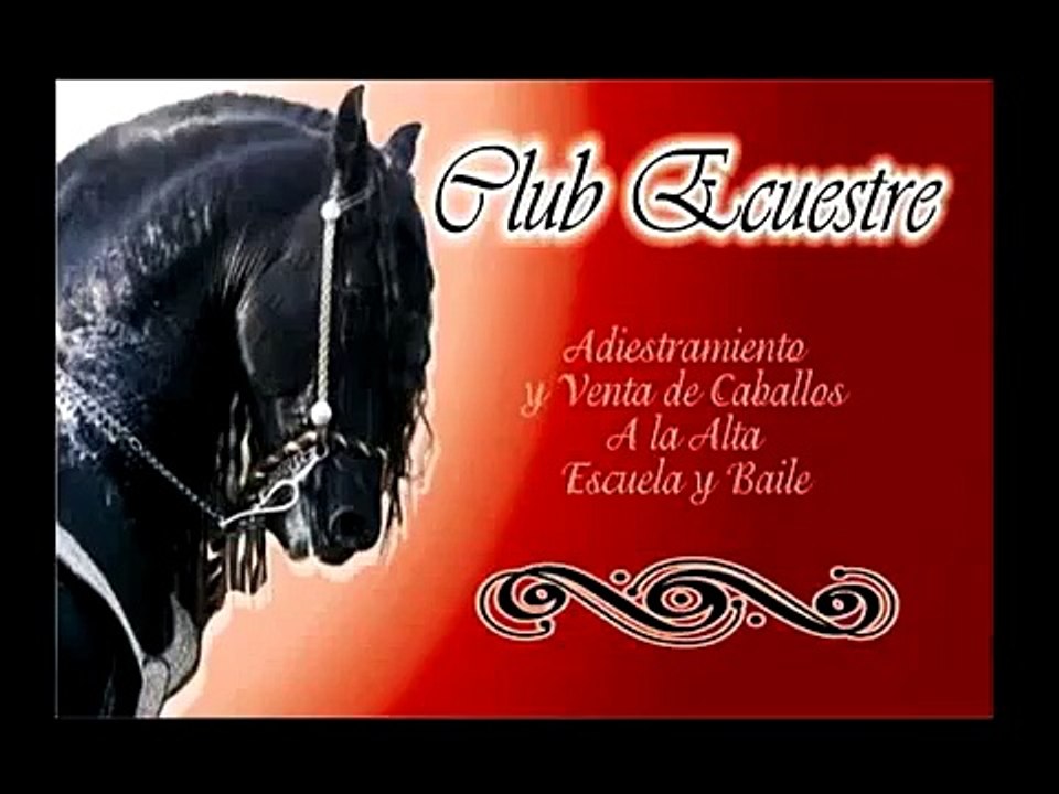 Caballo A La Alta Escuela y Baile "El Andariego" - C E -