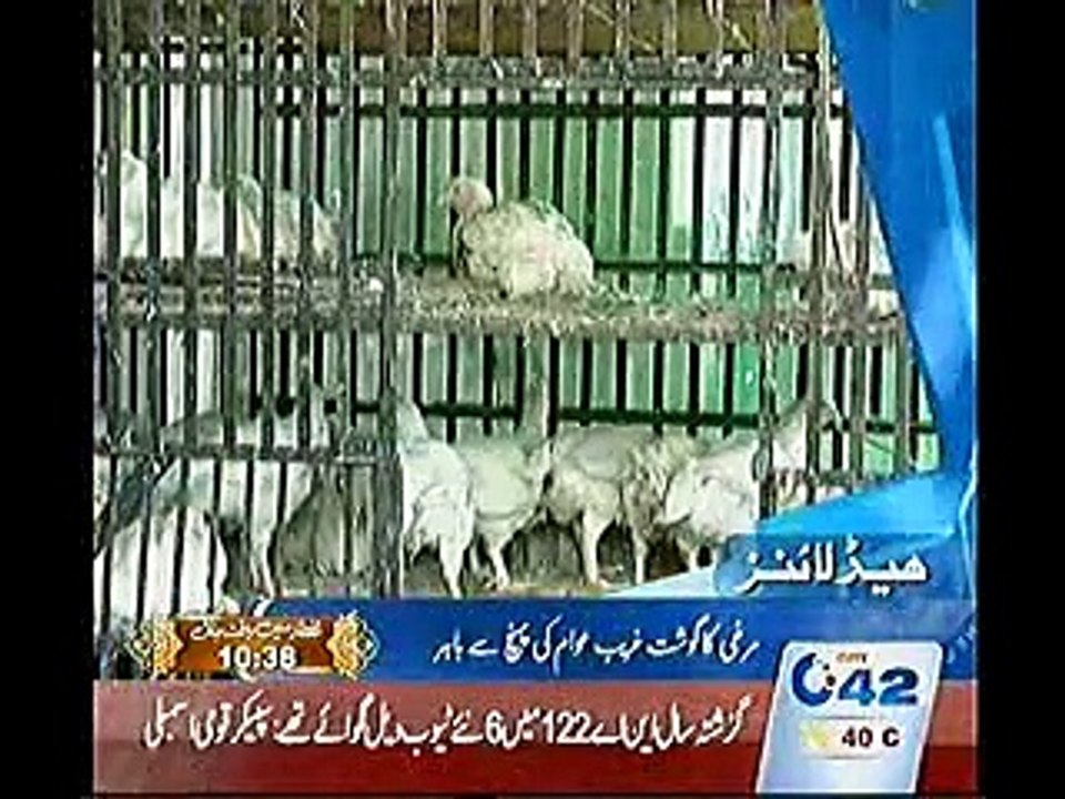 7pm Bulletin 28-06-15 City42