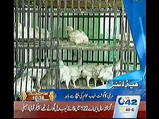 7pm Bulletin 28-06-15 City42