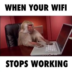 When Your Wifi Stop Working...hahaha must watch