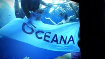 Oceana: Solutions to Ocean Conservation Problems