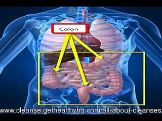 Liver Detox vs. Body Cleanse?