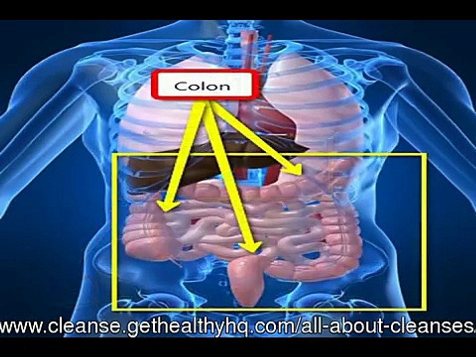 Liver Detox vs. Body Cleanse?