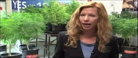 How Would Legalizing Marijuana Affect California?