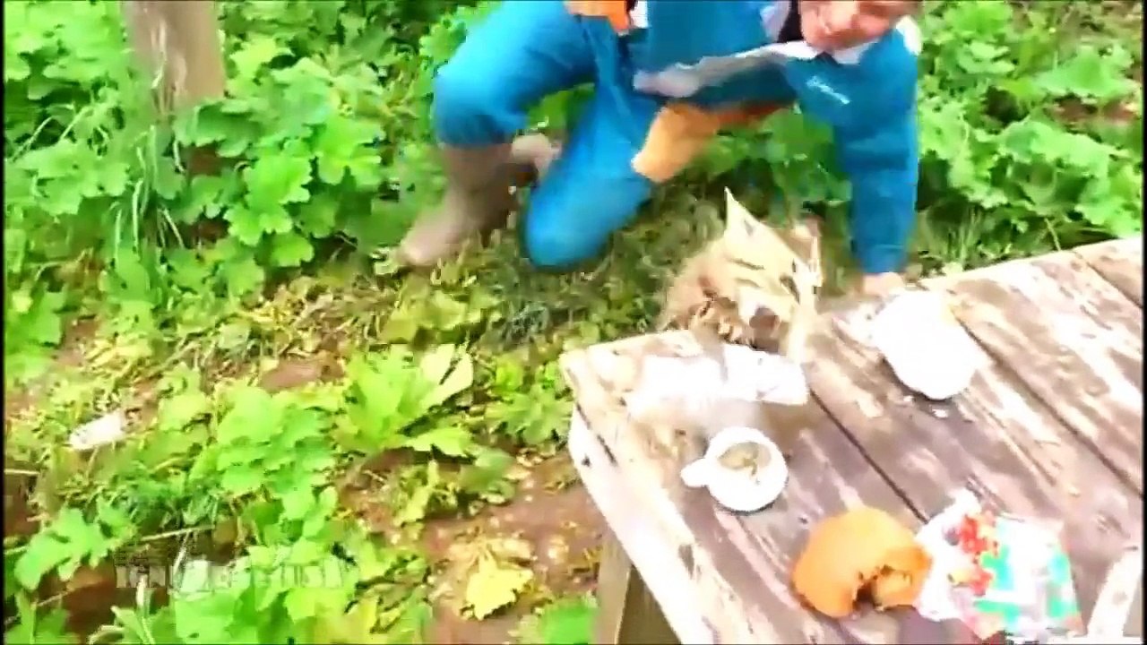 Crazy Russia - Zwariowana Rosja