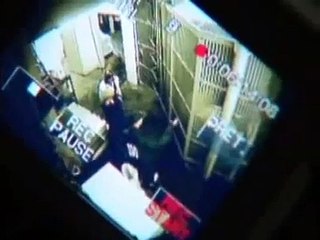Kész Átverés Show Galambos Dorina és a jegesmedve