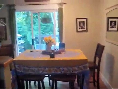 Shichon Puppies Kid Tested & Mother Approved