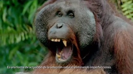 Cerebro emocional: equipados para la supervivencia y felicidad. Vídeo de la Universidad de Navarra