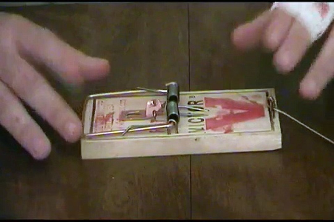 How to set up a mouse trap