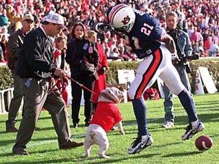 Corey Smith Every Dog Has It's Day (Georgia Football Tribute)