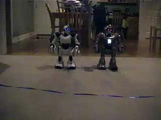RS Media vs Robosapien V2 Races