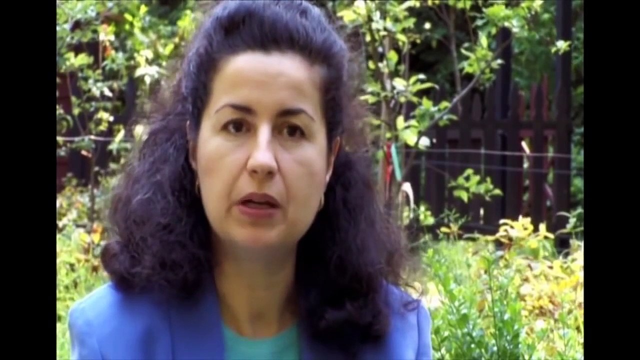 Discovery Channel Documentary -  Moringa Oleifera -  A Arvore Milagre