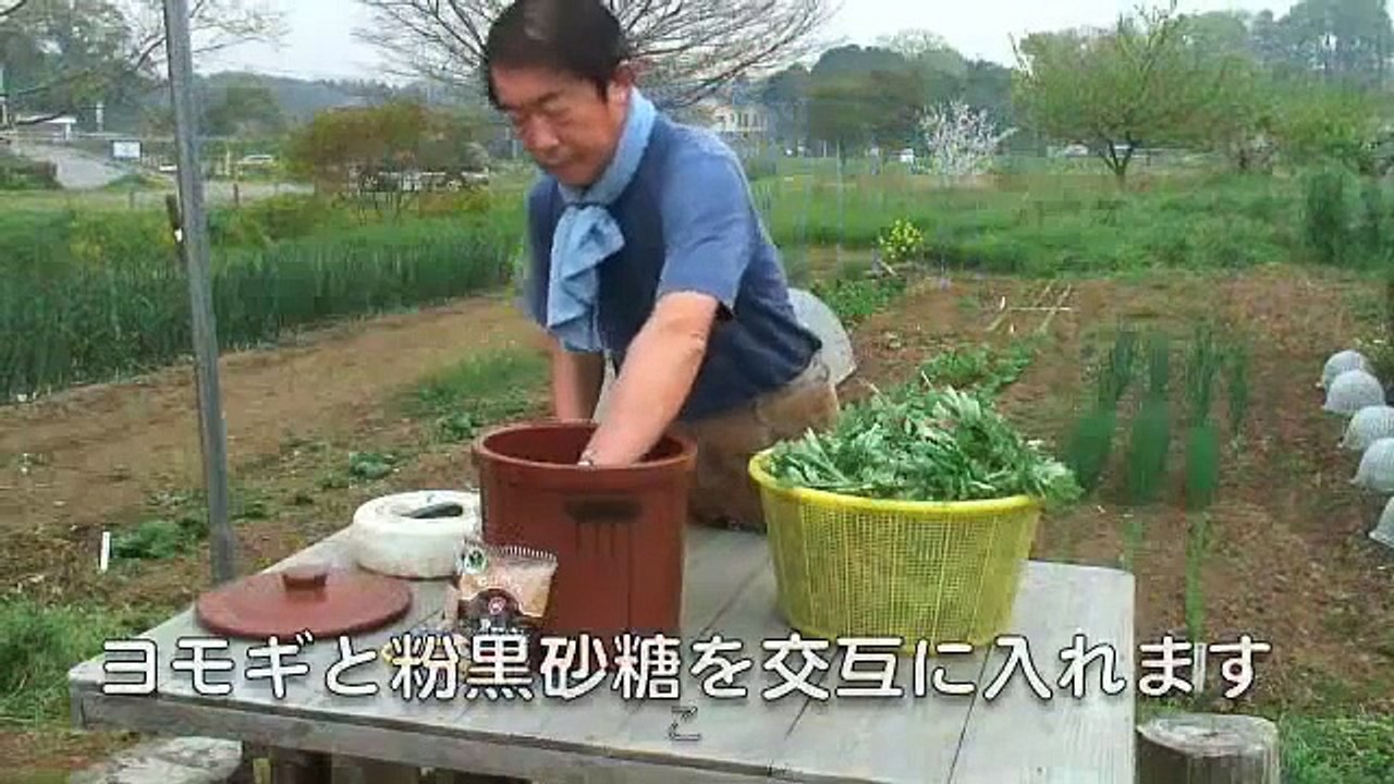 天恵緑汁の作り方4月編
