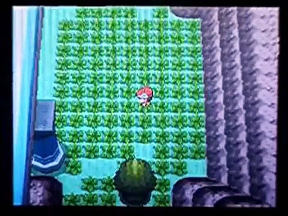 【ポケトレ連鎖(2)】色違いドーミラー出現[shiny Bronzor] ポケットモンスター ダイヤモンド パール　pokemon diamond&pearl