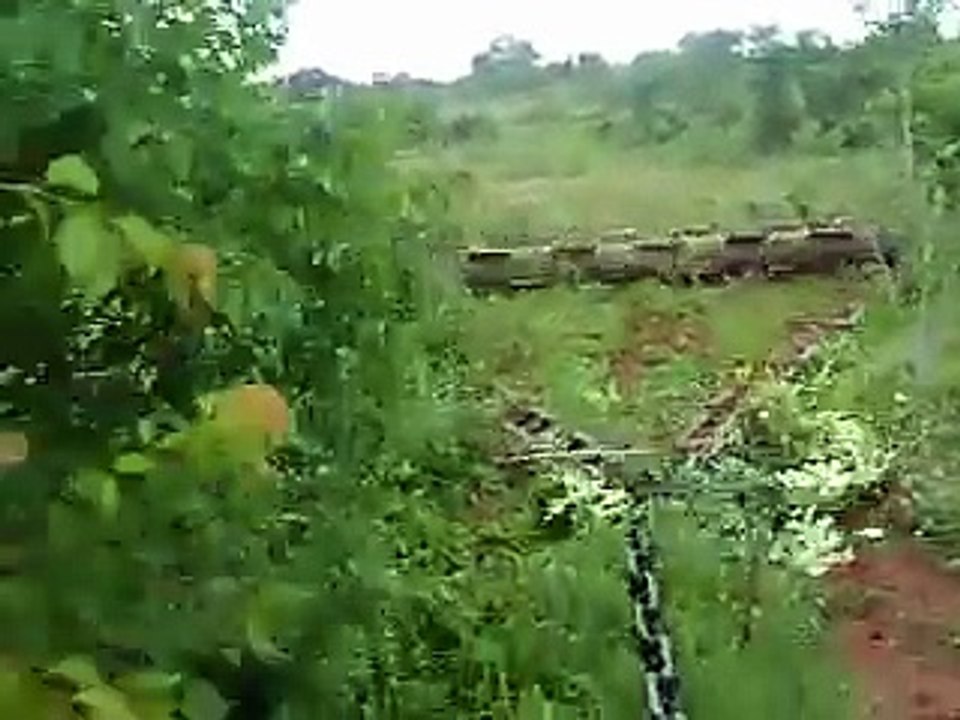 Roçadeira de arrasto rolo-faca
