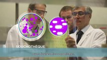 Sanofi – We R Hope - Recherche - Nouvel espoir dans le domaine des maladies infectieuses