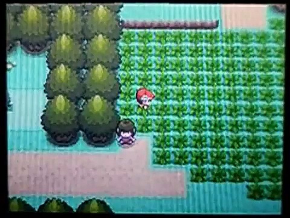 【ポケトレ連鎖(3)】色違いコリンク出現[shiny Shinx] ポケットモンスター ダイヤモンド パール　pokemon diamond&pearl