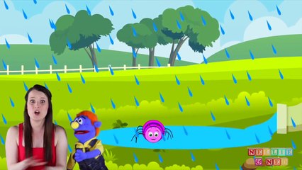 Itsy Bitsy Spider | Incy Wincy Spider | Popular Nursery Rhymes for Children