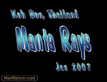 Scuba diving with Manta Rays at Koh Bon, Thailand