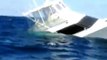 Black Marlin Sinks Fishing Boat in Panama.