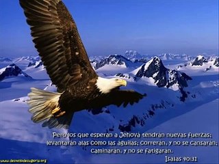 ANOCHE SOÑE- DORIS MACHIN.wmv