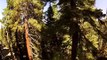 Northstar Downhill Freeride Mountain Biking Edit