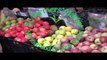 Farmers' Market Nutrition & Coupon Project Video