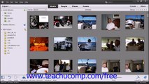 Photoshop Elements 12 Tutorial Creating a New Catalog Adobe Training Lesson 2.10