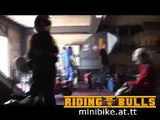 Minibike Minimoto Race  Pocketbike  Riding-Bulls