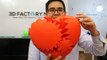 The Biggest 3D Printed Heart