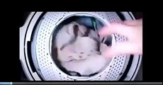 Mini Çamaşır Makinası