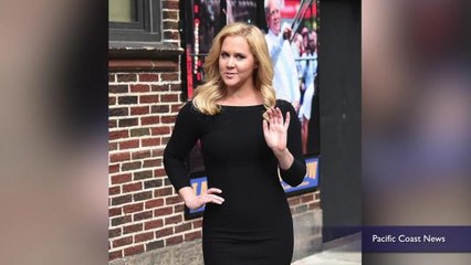 Why did Amy Schumer turn down a job most comedians would love?