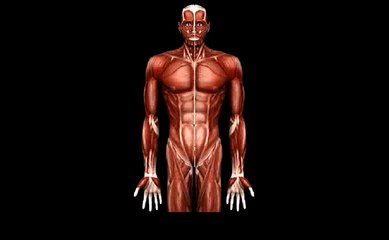 Understanding Body Weight @ Jalan Healthcare