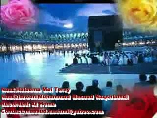 Haleema Mein Tere - MasouD Hashmi