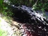 canal de vino en isla de maipo despues del terremoto