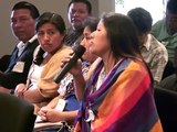 II Cumbre Latinoamericana sobre Cambio Climático e Impactos en los Pueblos Indígenas