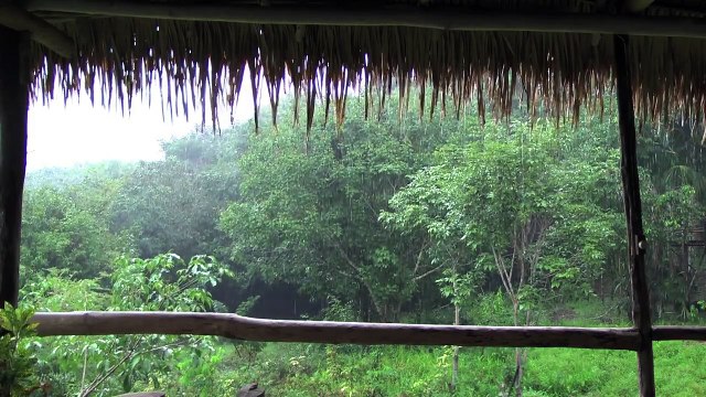 Relaxing Instrumental Music - Relax Rain - Nature sounds for Deep Sleeping Meditation Relaxation Spa