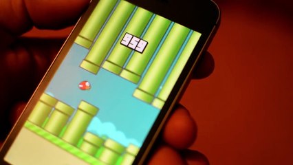 Flappy Bird - High Score 999! impossible!