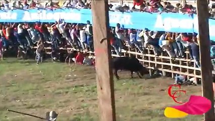 Corralejas de corozal 2011.avi