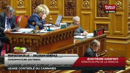 Examen de la Proposition de loi autorisant l'usage contrôlé du cannabis - En séance